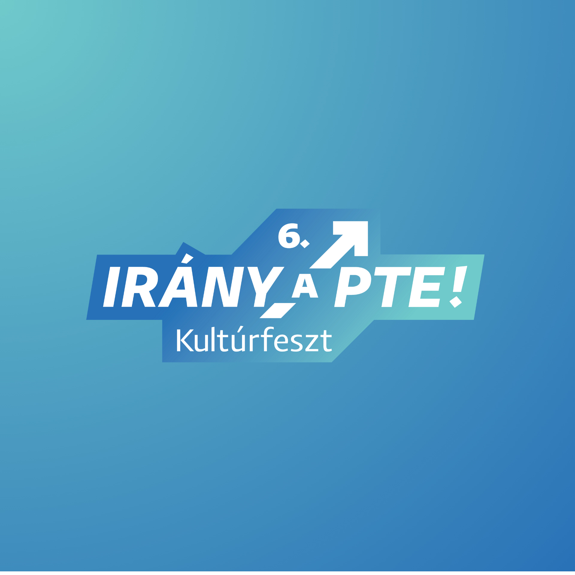 Fesztivál kép