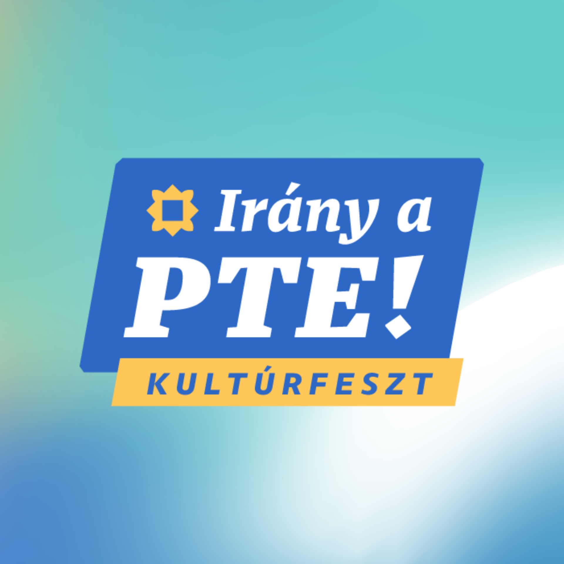 Fesztivál kép
